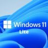 windows 11 lite system requirements